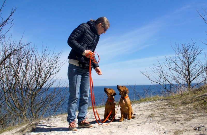 Dejlig søndagstur 19.04.15