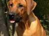 Zeus aug. 2015