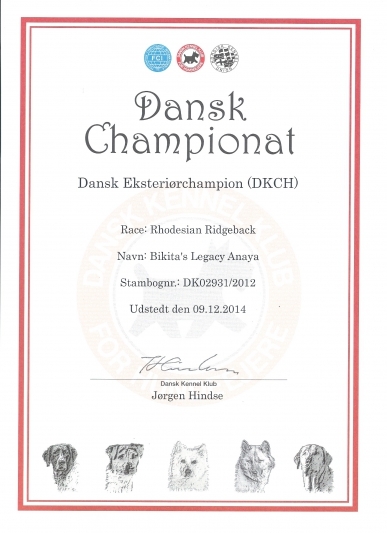 Anayas fine diplom, der beviser at hun nu er Dansk Champion