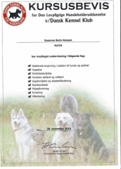 kursusbevis_dkk_hundeholderudd_sbh